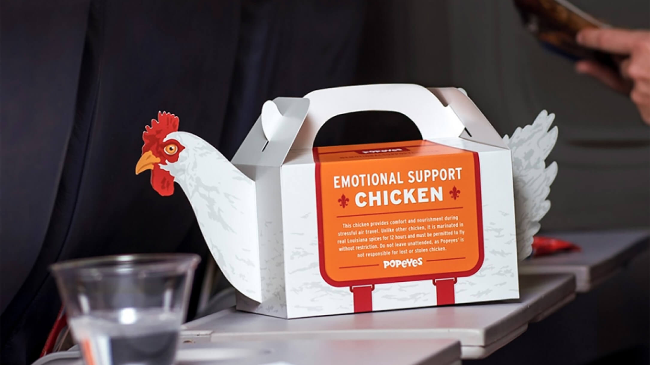 take-away box from Popeyes in shape of a chicken